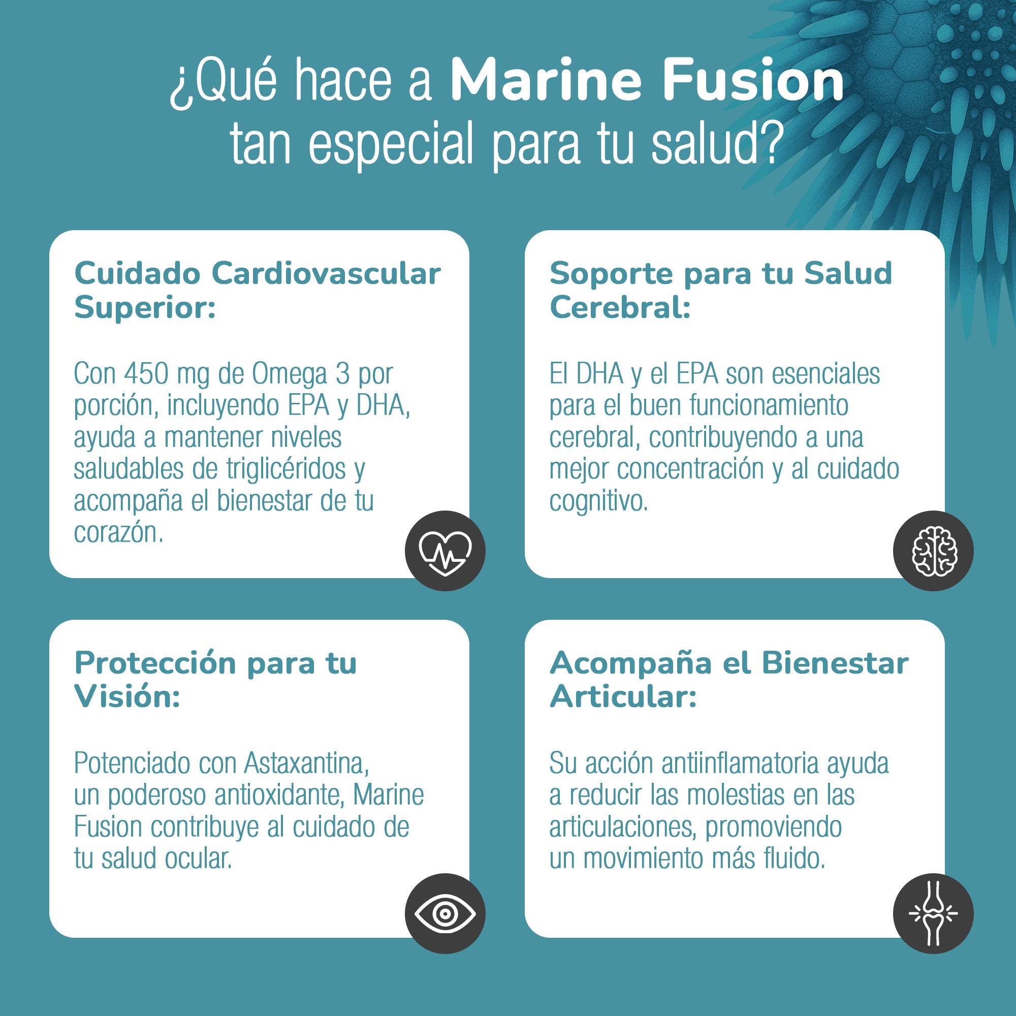 MARINE FUSION® | El único Omega-3 Marino vegetariano del mercado, totalmente libre de gluten y producido íntegramente en Argentina.