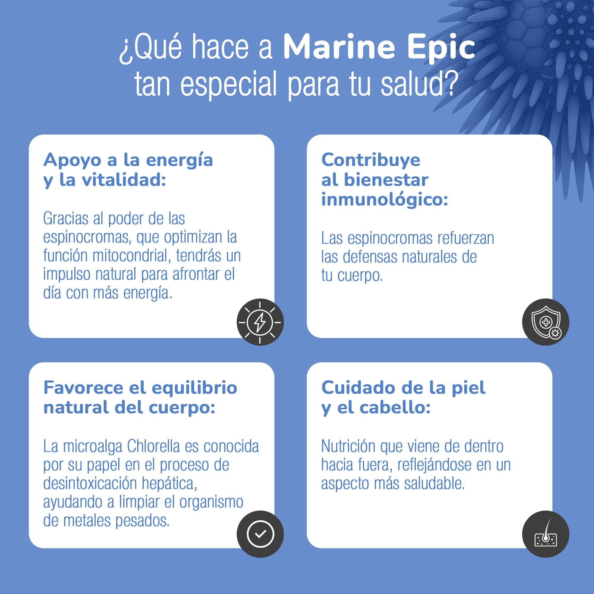 MARINE EPIC® | Salud, Bienestar y Alto Rendimiento Deportivo: el único suplemento argentino All-In-One con certificaciones de Estados Unidos