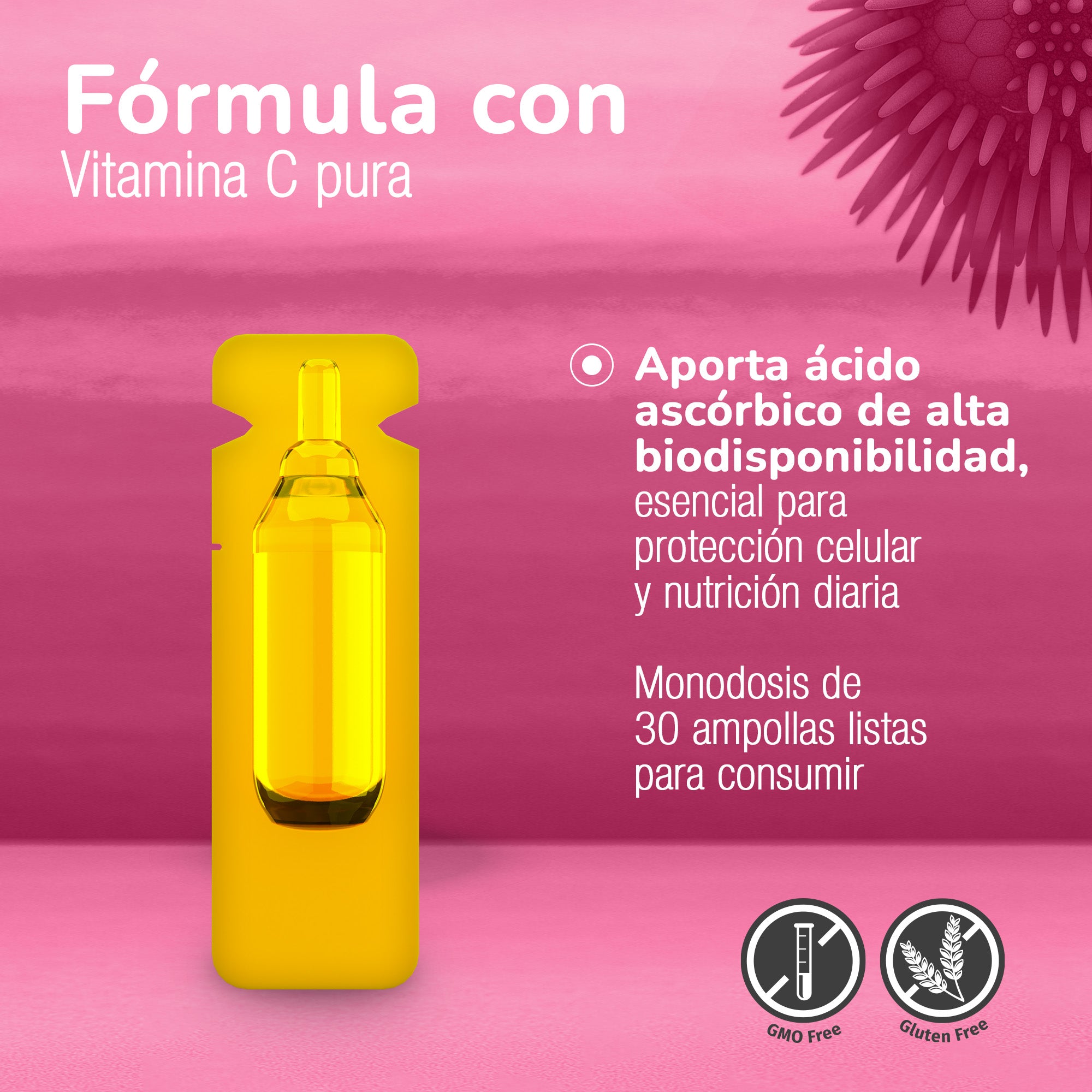 ECHA MARINE® | Defensa celular avanzada para infecciones virales, síntomas complejos y persistentes. Producto comprobado con Prueba Médica.
