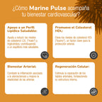 MARINE PULSE® | Una poderosa combinación diseñada para potenciar tu salud cardiovascular. Producto comprobado con Prueba Médica.