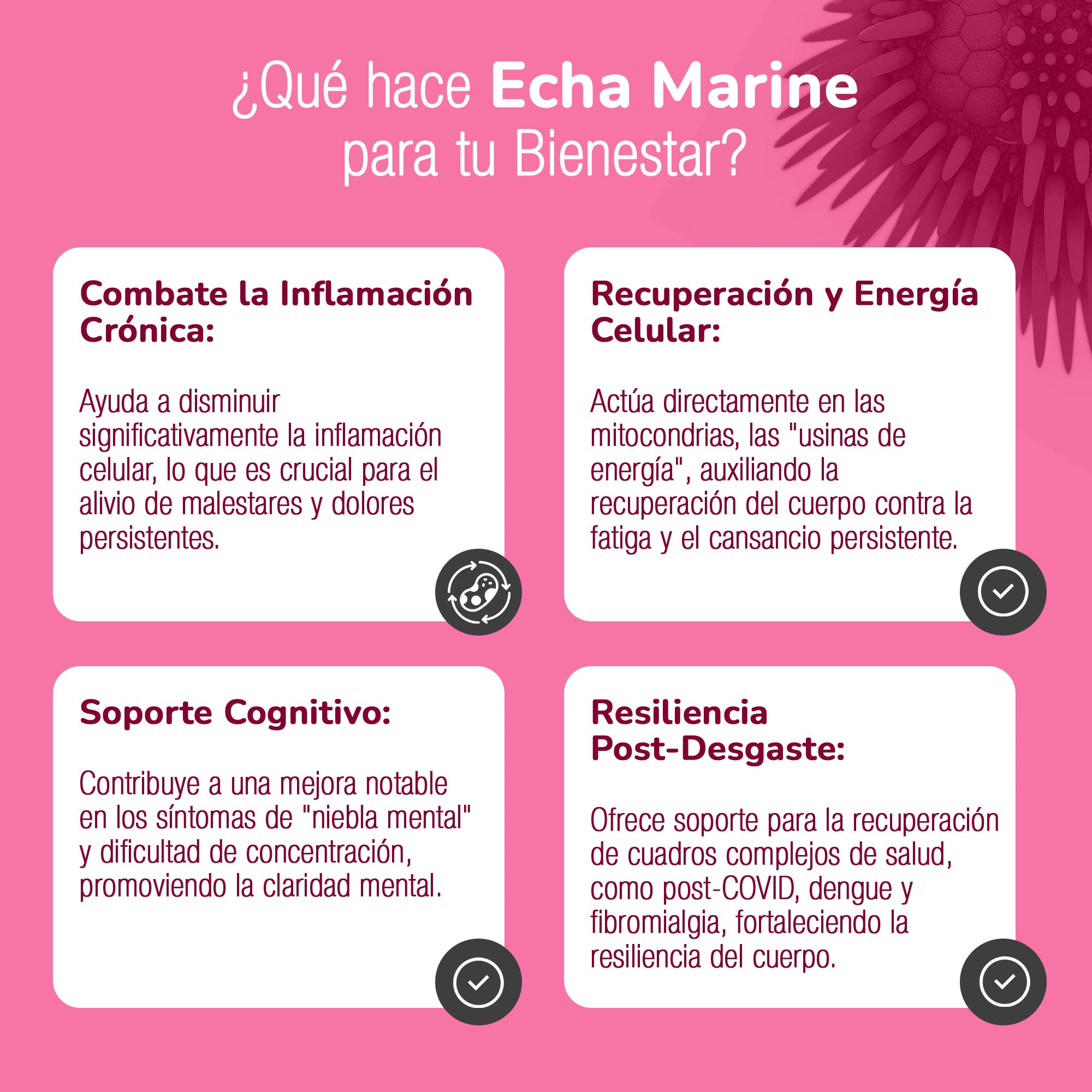 ECHA MARINE® | Defensa celular avanzada para infecciones virales, síntomas complejos y persistentes. Producto comprobado con Prueba Médica.