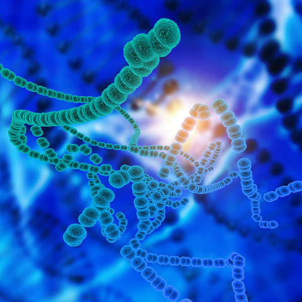 Recuperación mitocondrial