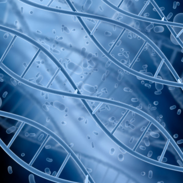 Más colesterol bueno