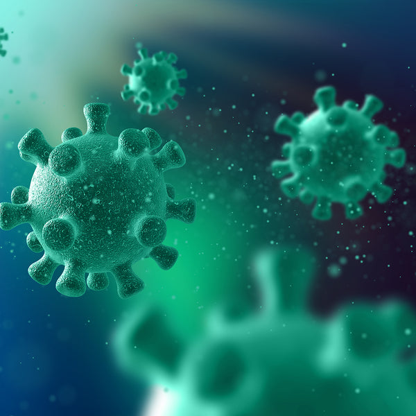 Soporte inmunológico